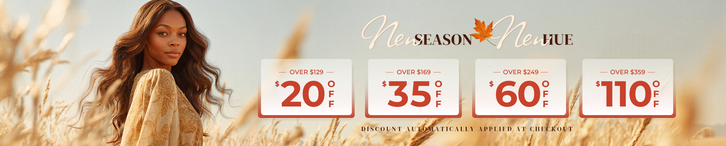 Discount Collection Banner