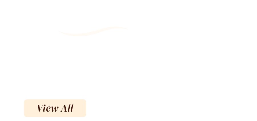 2X 8eebed72-b239-4d13-b5b1-058cab72e823