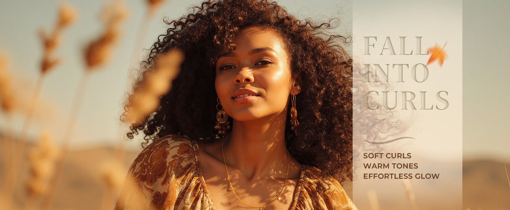 Curly Wigs Banner