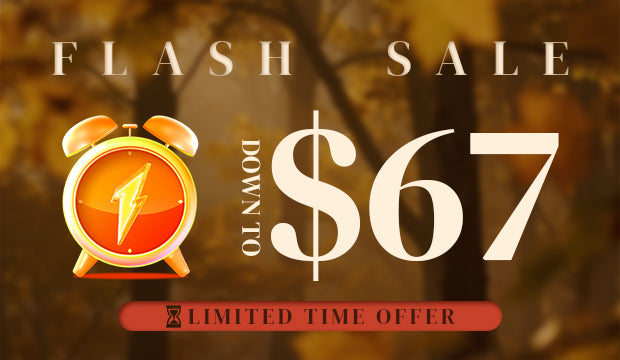 Flash Sale Collection Banner