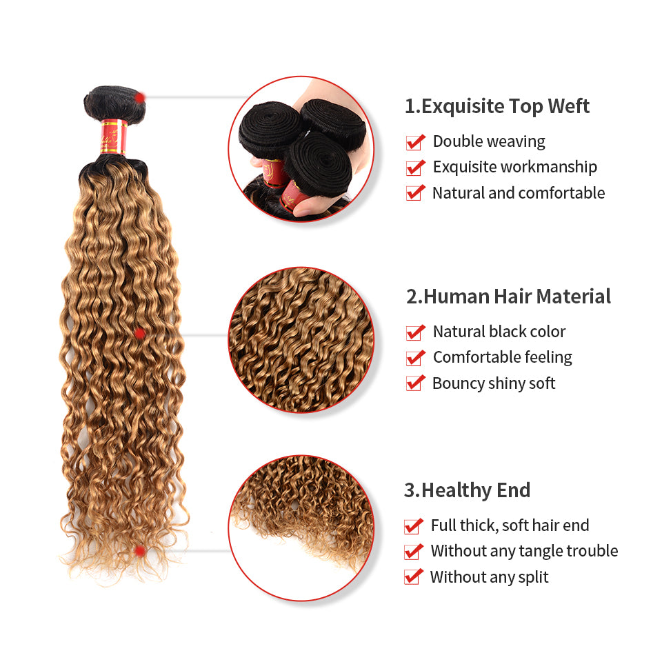 Arabella Virgin Brazilian Ombre T1b/27 Water Wave 3 Bundles/Pack - arabellahair.com