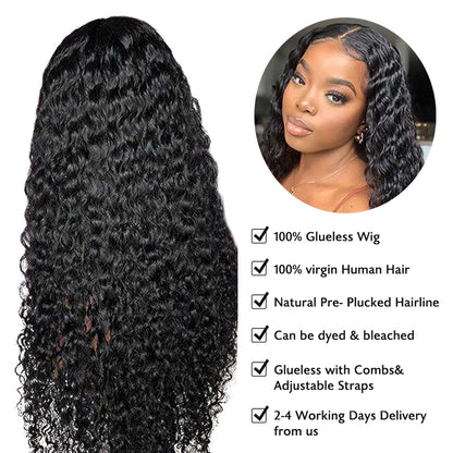 Human hair wig Real Glueless Wig HD 5x5 Lace Closure Wigs Water Glueless Wig Pre Plucked 180% Density Natual Black - arabellahair.com